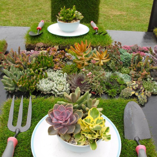 Quirky table setting with succulents