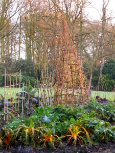 Dunham Massey vegetable patch