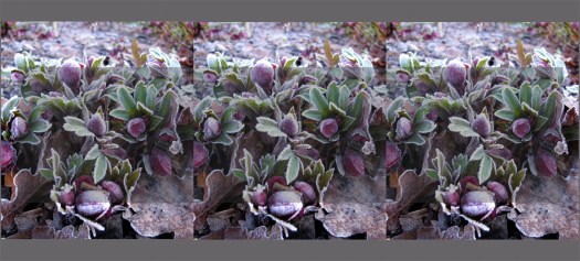 Flower bud tile effect