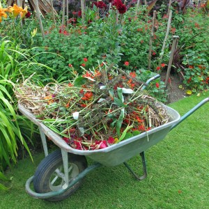 Hidcote wheelbarrow