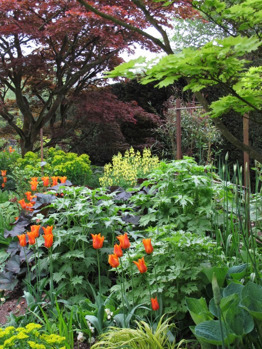 Border at Kiftsgate Court