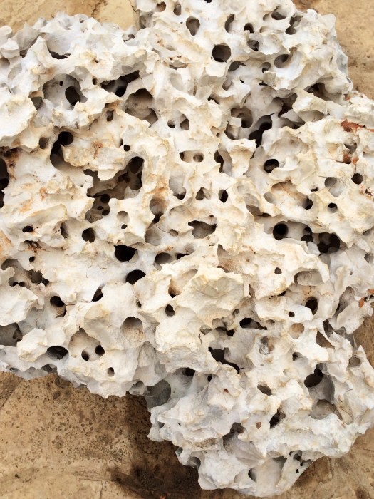 Holey rock