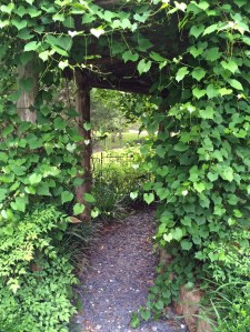 Borrowed view through arbour