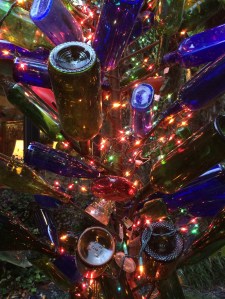 Bottle tree at night