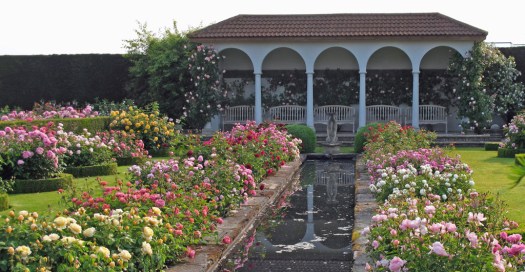 Canal-garden-in-bloom