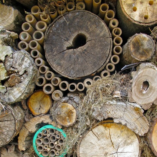 Insect hotel (detail)