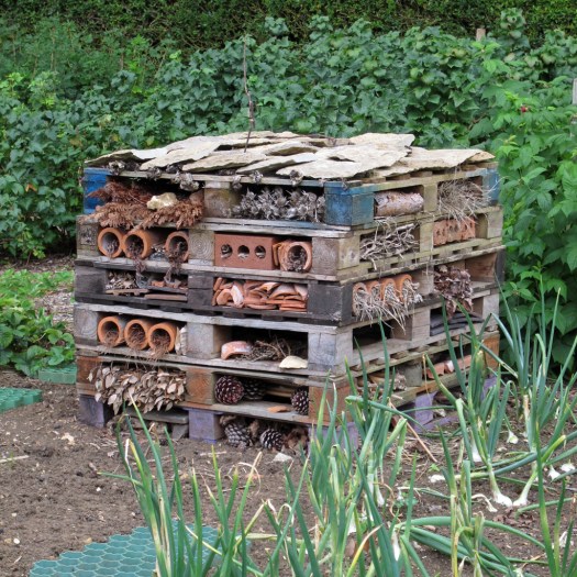 Insect hotel at Hidcote