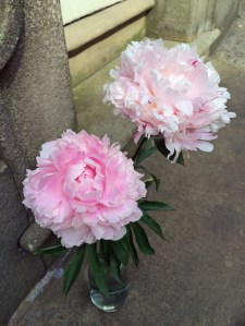 Peonies on a doorstep