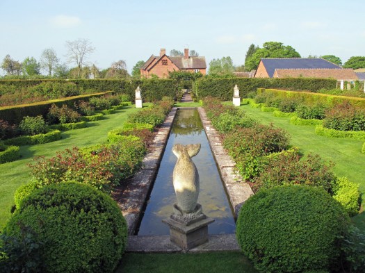 Rose-garden-just-leafing-out