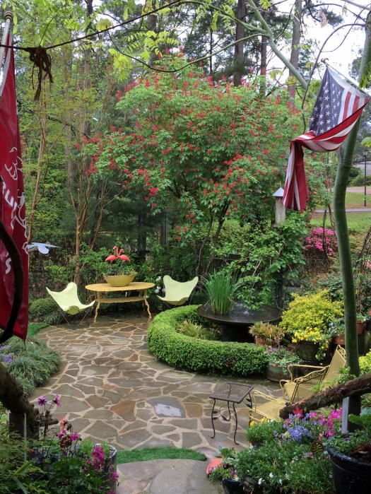 View from the patio steps