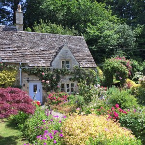 Cottage garden