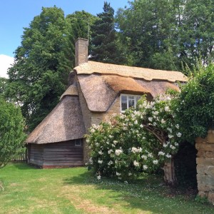 Cottage with thatched roof
