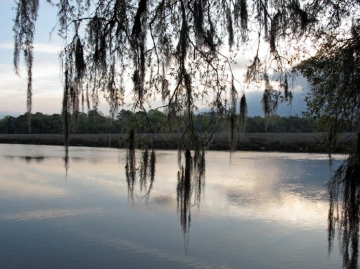 Lake and skyline with Spanish moss