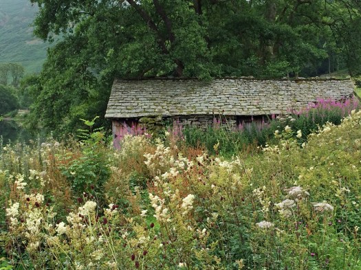 Grasmere cabin with wildflowers