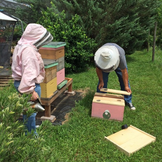 Beekeepers1
