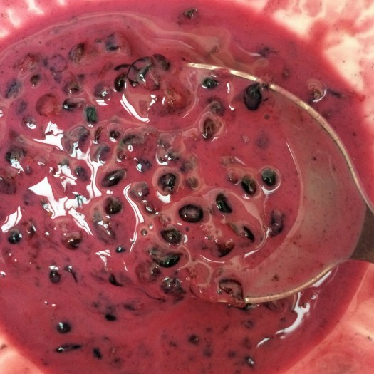 Blackberry yogurt