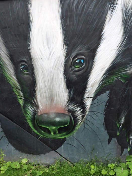 Glasgow street art: Badger