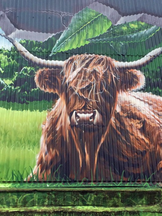 Highland cattle mural
