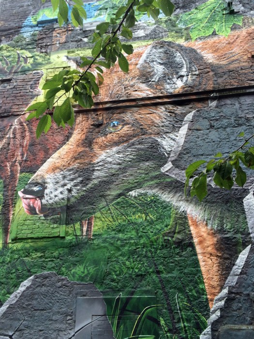 Glasgow street art: Fox