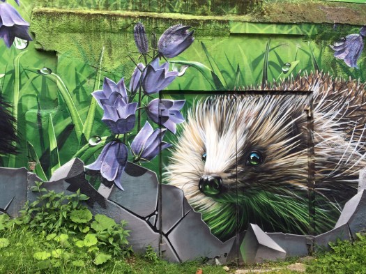 Glasgow street art: Hedgehog and harebell