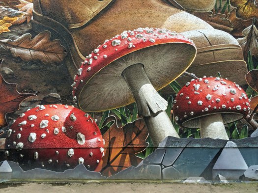 Glasgow street art: Mushrooms