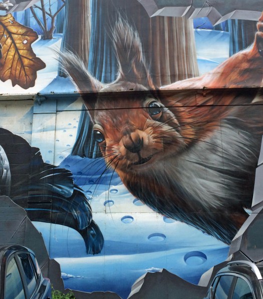 Glasgow street art: Squirrel