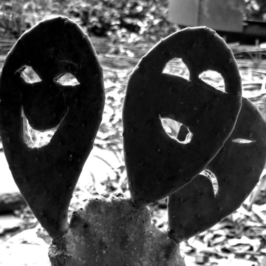 Opuntia cactus with hand carved faces