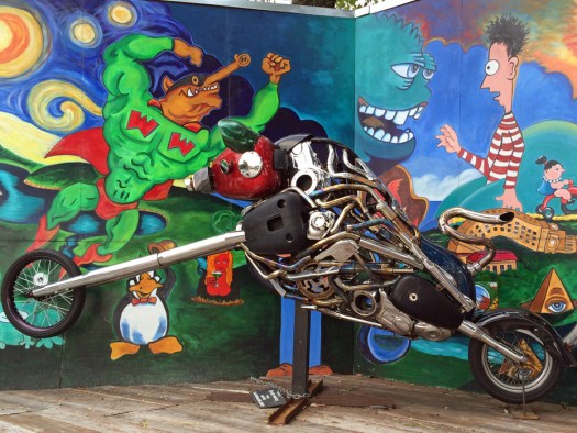 Hog by Bob Wade for hopecampaign.org