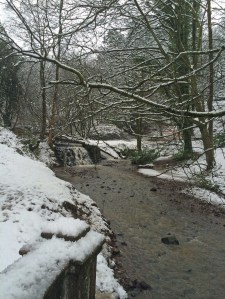 Sunnyhurst Wood waterfall