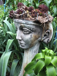 Lady with succulents