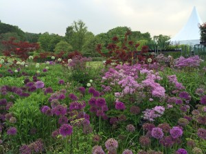 Harlow Carr Flower Border