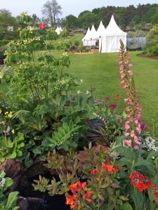 Harperley Hall Farm Vignette