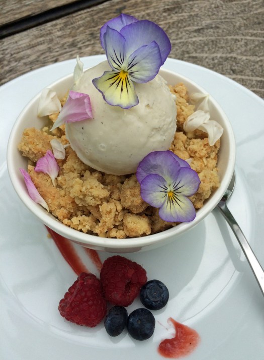 Rhubarb Crumble with Ice Cream