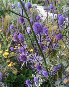 Impressionistic planting