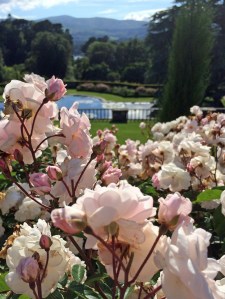 View from the terrace at Bodnant Gardens