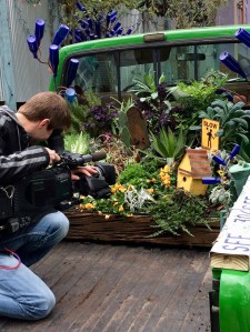 Truck garden close-up