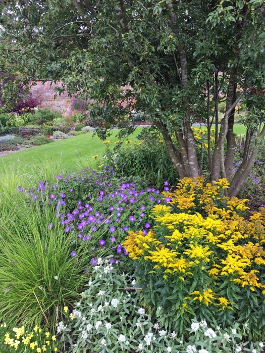 Holehird: Inside the Walled Garden