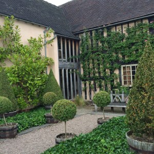 Topiary at Wollerton Old Hall