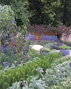 Healing Urban Garden, Hampton Court