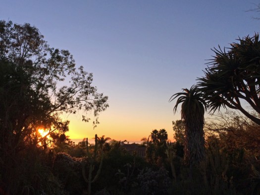Sunset at San Diego Botanic Garden