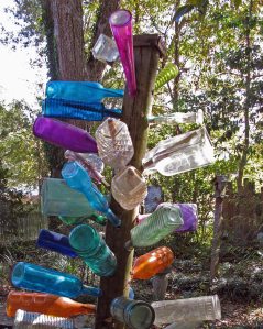 Colourful bottle tree