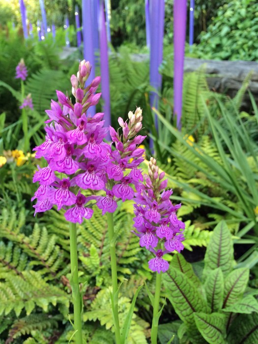 Orchid with Purple Art Glass