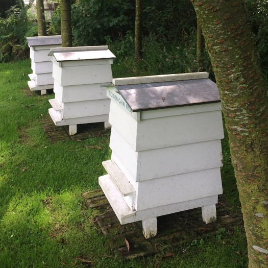 Ian Hamilton Finlay Beehives