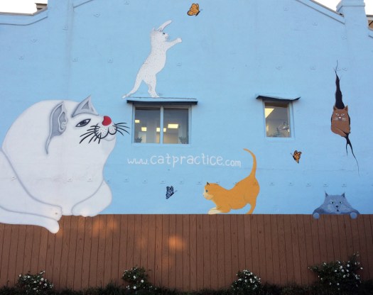 Wall with motifs of cats chasing butterflies