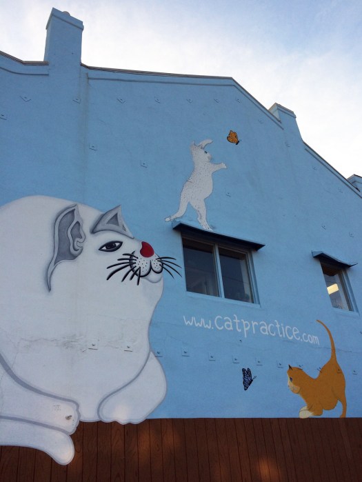 Wall decorated with cats