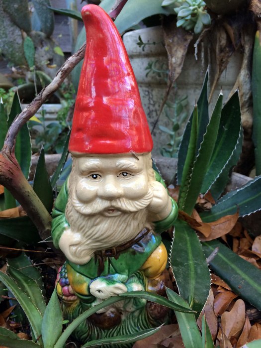 Gnome without snow
