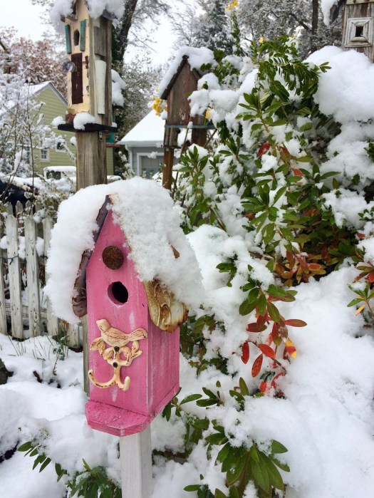 Pink birdhouse with a covering of snow