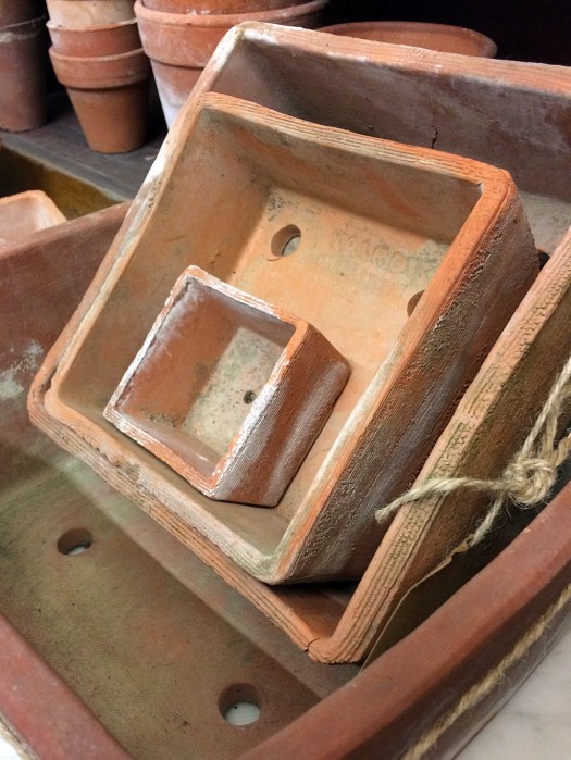 Square terracotta plant pots of various sizes