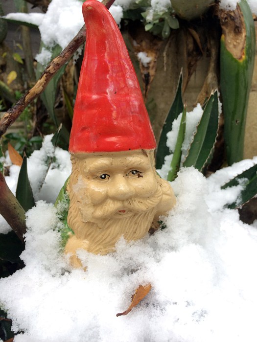 Gnome in snow up to the beard