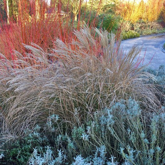 Contrasting colours and textures